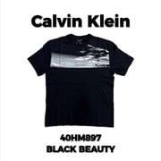 40HM897 BLACK BEAUTY Mサイズ [Tシャツ 並行輸入品]
