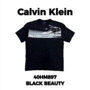40HM897 BLACK BEAUTY Lサイズ [Tシャツ 並行輸入品]