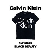 40HM884 BLACK BEAUTY Lサイズ [Tシャツ 並行輸入品]