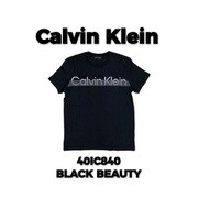 40IC840 BLACK BEAUTY Lサイズ [Tシャツ 並行輸入品]