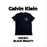 40IC841 BLACK BEAUTY Mサイズ [Tシャツ 並行輸入品]