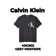 40IC802 GREY PINSTRIPE Mサイズ [Tシャツ 並行輸入品]