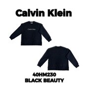 40HM230 BLACK BEAUTY Lサイズ [Tシャツ 並行輸入品]