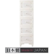 DPC-05-PW [lilou de coco ドレスチェンジチェスト 5段 パールホワイト お客様組立品]