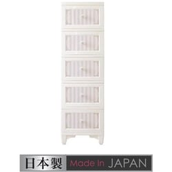 lilou de coco ドレスチェンジチェスト 5段 ストライプピンク お客様組立品 DPC-05-STPI