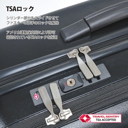 新品 キャリーバッグ FREQUENTER エンドー鞄 シャンパンゴールド 1-3泊] エンドー鞄 フリクエンター クラムA 34L シャンパン