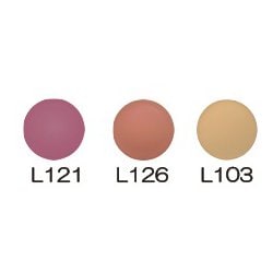 ピーアンドエイ リップカラーケース入り L138