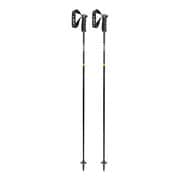 NEOLITE CARBON 653 48321 ブラック/ネオングリーン 115cm [スキー ストック]