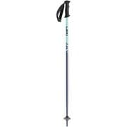 RIDER 653 44143 ダークブルー/ライトターコイズ 80cm [スキー ストック ジュニア]