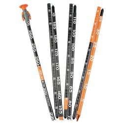 STEALTH 300 CARBON C2305006010 BLACK [アバランチ用品 プローブ]