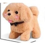 メグペットプレイハウス B