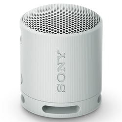 Sony® Wireless Earbuds S-24856 - Uline