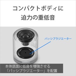 ヨドバシ.com - ソニー SONY SRS-XB100 D [ワイヤレスポータブル