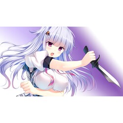 Amazon.co.jp: シロガネ×スピリッツ! -Switch : ゲーム