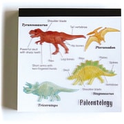 メモパッド・スクエア 古生物学 ST-002