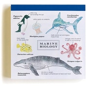メモパッド・スクエア 海洋生物学 ST-060