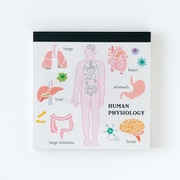 メモパッド・スクエア 人類生物学 ST-164