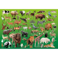 100-041 動物園 [ジグソーパズル 100ピース]