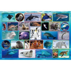 100-042 水族館 [ジグソーパズル 100ピース]