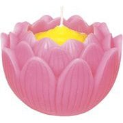 蓮の花 大 ピンク 箱入り