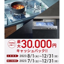 ヨドバシ.com - リンナイ Rinnai RSW-405AA-SV [ビルトイン食器洗い