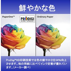 ヨドバシ.com - エイプリル APRIL PaperOne（ペーパーワン） コピー用紙 高白色 オールパーパス A4 2500枚（500枚×5冊） 紙厚0.11mm  両面印刷対応 PEFC認証 通販【全品無料配達】