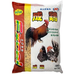 成鶏 7kg [鳥用餌・おやつ]