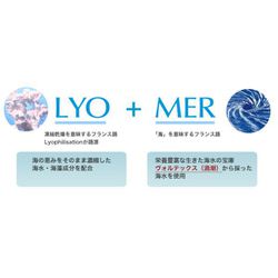 ヨドバシ.com - リヨメール LYOMER リヨメール ローション ロゼマリン