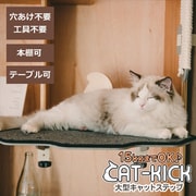 ca-02 [大型キャットステップ CAT-KICK キャットキック 猫用キャットステップ]