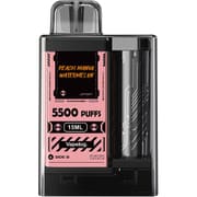 電子タバコ シーシャ 5500回使用可能 ベイプエンジン ピーチマンゴーウォーターメロン