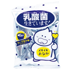 乳酸菌生きています 60g