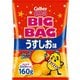 ビッグバッグポテトチップスうすしお味 160g