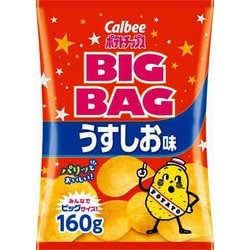 ビッグバッグポテトチップスうすしお味 160g