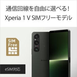 ヨドバシ.com - ソニー SONY XQ-DQ44 G3JPCX0 [Xperia 1 V/SIMフリー ...
