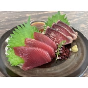 静岡 一本釣り鰹尽くし