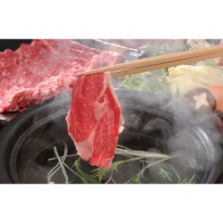 宮崎牛 しゃぶしゃぶ用 500g