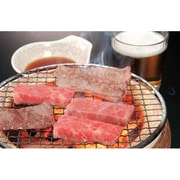 岐阜 飛騨牛焼肉