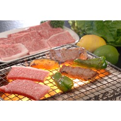 鹿児島黒牛 肩ロース焼肉用 500g