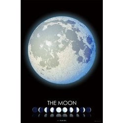 ヨドバシ.com - やのまん YANOMAN 10-1442 KAGAYA THE MOON -月の世界