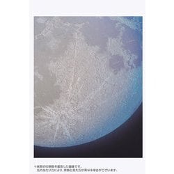 ヨドバシ.com - やのまん YANOMAN 10-1442 KAGAYA THE MOON -月の世界