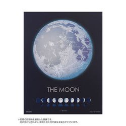 ヨドバシ.com - やのまん YANOMAN 42-100 プチ2ライト KAGAYA THE MOON 