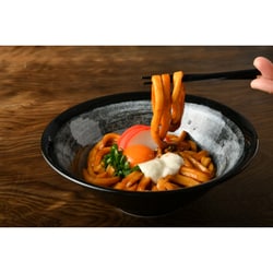 三重 「かいだ食品」 伊勢うどん 12食入