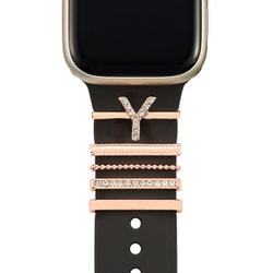 BC-CH09 [Apple Watch バンドチャーム Y]