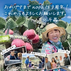 ヨドバシ.com - ノパ nopa 8034792 [nopa スキンケア お試し ヨドバシ.com - ノパ nopa 8034792 [nopa スキンケア お試し