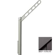 GP-55-DB [ホスクリーン 屋外用 腰壁用物干 上下式 ローコストタイプ 1組（2本入） ダークブロンズ]