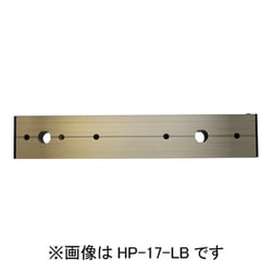 ホスクリーン アルミ台座 1袋 ライトブロンズ HP-17-LB