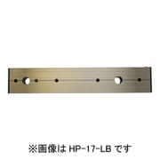 HP-17-LB [ホスクリーン アルミ台座 1袋 ライトブロンズ]