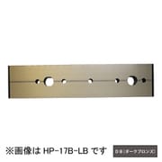 HP-17B-DB [ホスクリーン アルミ台座 1袋 ダークブロンズ]