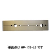 HP-17B-LB [ホスクリーン アルミ台座 1袋 ライトブロンズ]