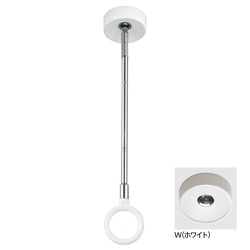 ホスクリーン 室内用 天井付 スポット型 1本入 ホワイト SPDS-W